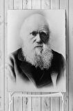 Charles Darwin Bilimsel Poster 3 