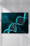 Dna Bilimsel Poster 