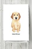 Golden Retriever Çocuk Odası Poster 