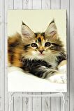 Kedi Hayvan Posteri 5