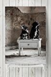 Köpek Hayvan Poster