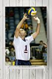 Lloy Ball Posteri 