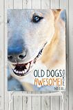 Old Dog Hayvan Posteri 