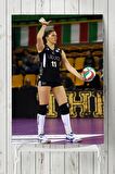 Hristina Ruseva Posteri 