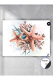 Pembe Deniz Yıldızları Hayvan Poster - Afiş - Dekoratif Duvar Posteri