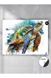 Caretta Kaplumbağa Süzülüşü Hayvan Poster - Afiş - Dekoratif Duvar Posteri