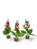 3lü set Yapay Çiçek Yılbaşı Çiçeği Kokinalı Kütük Saksılı Dekoratif Süs 20cm