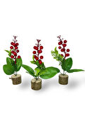 3lü set Yapay Çiçek Yılbaşı Çiçeği Kokinalı Kütük Saksılı Dekoratif Süs 20cm