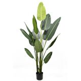 Yapay Ağaç Muz Ağacı Yapay Starliçe 160cm 13 Yaprak