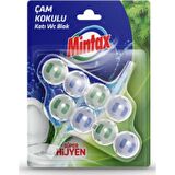 Mintax Çam Kokulu Katı Wc Blok 2x48 gr