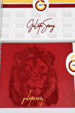 YENİ SEZON LİSANSLI GALATASARAY RESİM DEFTERİ 17*24 CM 15 YAPRAK