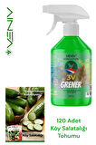 VENİV AGRİCULTURE 3V Grener 500 ml Bitki Besini + 120 Köy Salatalığı Tohumu | Bol Hasat, Güçlü Kökler