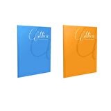 Gıpta Mica A4 60 Yp Kareli Pp Kap.Defter 2'li