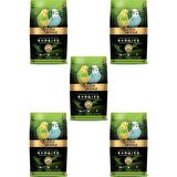Gold Wings Premium Muhabbet Kuşu Yemi 1 kg x 5 Adet