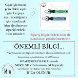 Bikerlar İçin Özel, İsim Plaka ve B Rh (-) Kan Grubu Yazılı Hediye x2 Anahtarlık Set, Mor-F Yeşil-SK