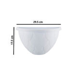 Omnipazar SO-DD02 Dekoratif Damla Duvar Saksı 2.4 Litre No 2