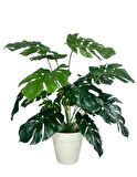 Yapay Çiçek Monstera Salon Çiçeği 50cm Beyaz Saksılı Yapay Bitki 
