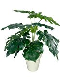 Yapay Çiçek Monstera Salon Çiçeği 50cm Beyaz Saksılı Yapay Bitki 