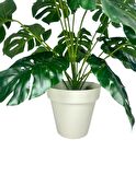 Yapay Çiçek Monstera Salon Çiçeği 50cm Beyaz Saksılı Yapay Bitki 