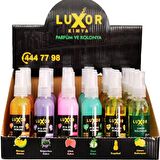 Luxor Kimya 24 Adet 50 ml Ev & Oto Koku Seti Özel Kutulu