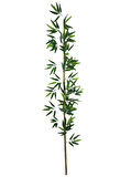 5li Set Yapay Bambu Sopası 16 Yapraklı 150cm Yapay Çiçek Bambu Duvarı Separatör Çiçeği Yapay Çiçek