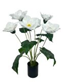 Yapay Çiçek Islak Manolya Çiçeği 6 Çiçekli 65cm Siyah Saksıda  Salon Çiçeği