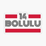 14 Bolulu Plaka Araba Sticker Yapıştırması