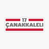 17 Çanakkaleli Plaka Araba Sticker Yapıştırması