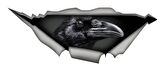 Karga Sticker Yapıştırması 20 CM
