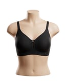 Best Bra L-247 Lazer Dikişsiz Balensiz Pedli İz Bırakmaz Yumuşak Dokulu Sütyen