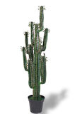 Yapay Çiçek Kaktüs Ağacı Siyah Saksıda 145*37cm 10 Kollu