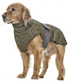Orta ve Büyük Irk Köpek Mont - Yukata