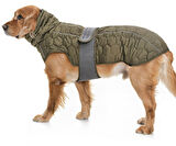 Orta ve Büyük Irk Köpek Mont - Yukata