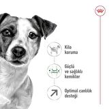 Royal Canin  8 Yaş ve Üzeri Küçük Irklar için Kuru Köpek Maması 2Kg