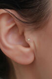 14 Ayar Altın Taşlı Yıldız Tragus