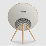 Bang & Olufsen Beosound A9 Multiroom Kablosuz Hoparlör