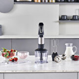 Homend Handmaid 1965h Inox, Çelik Bıçaklı Blender Set
