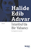 İstanbul'da Bir Yabancı
