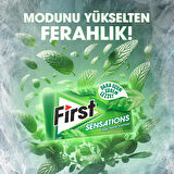 First Sensations Sakız Çeşitleri 27gr - 12 Adet 
