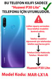 Huawei P30 Lite Uyumlu Hallowen Cadılar Astroloji Baskılı Silikon Kılıf