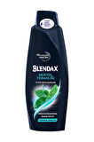 Blendax Şampuan 500 ml Erkek Mentol