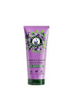 3 ADET  Herbal Essences Saç Kremi Core Lavender Smooth 250 ml
