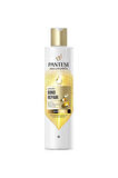 4 ADET   Pantene Bond Repair Şampuan 250 ml
