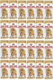 Royal Canin Adult Kırmızı Etli Poodle Irkı Yetişkin Yaş Köpek Maması 24x85 gr