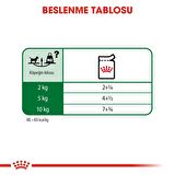 Royal Canin Mini Adult Kümes Hayvanlı Küçük Irk Yetişkin Yaş Köpek Maması 12x85 gr