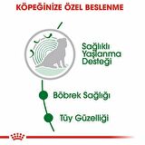 Royal Canin Etli Küçük Irk Yetişkin Yaş Köpek Maması 85 gr