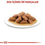 Royal Canin Medium Adult Köpek Yaş Maması 10X140 Gr