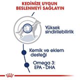 Royal Canin Maxi Adult Köpek Yaş Maması 10X140 Gr