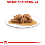 Royal Canin Maxi Adult Gravy Yetişkin Köpek Konservesi 140 Gr 