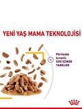 Royal Canin Sensory Taste Gravy 85 Grx12 Adet Kedi Konservesi
